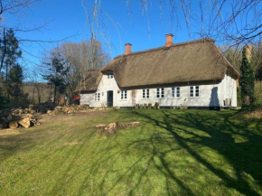 Cozy cottage getaway Holse